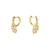 Regalia Sultana Earrings with Moonstones